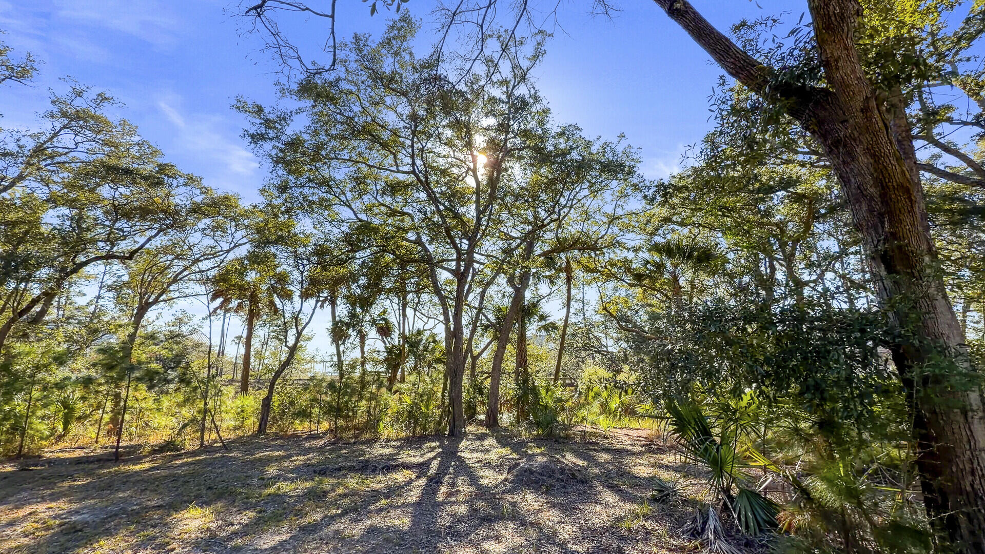 211 Fell Point Charleston, SC 29492 - Photo 11 of 13 02_2_mls