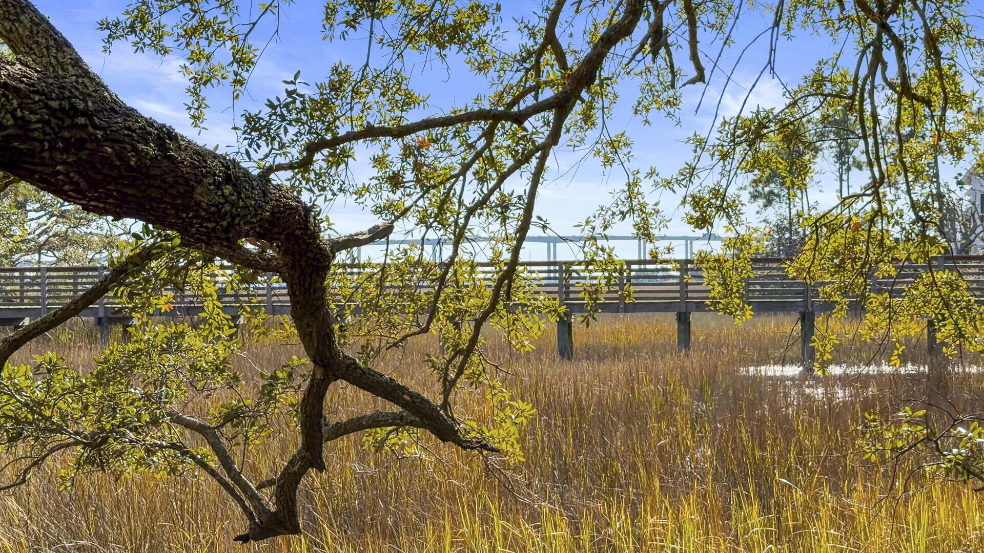 211 Fell Point Charleston, SC 29492 - Photo 6 of 13 04_4_mls