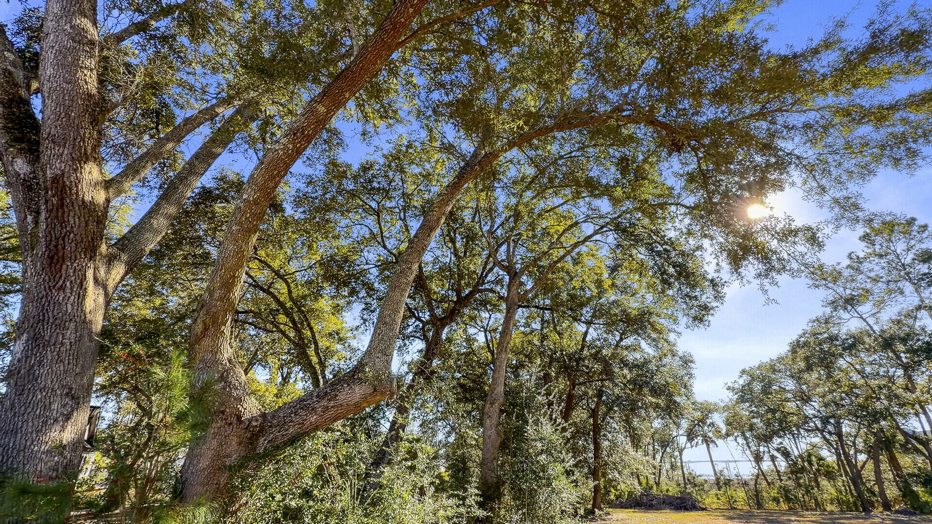 211 Fell Point Charleston, SC 29492 - Photo 8 of 13 01_1_mls