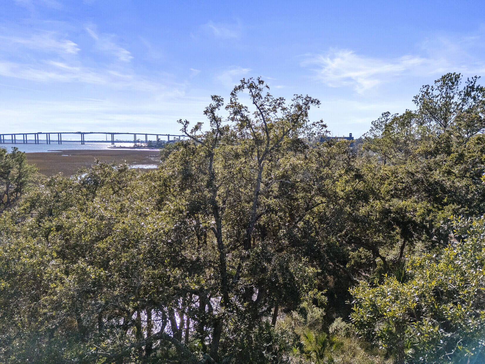 211 Fell Point Charleston, SC 29492 - Photo 10 of 13 24_DJI_20251212140732_0032_D_mls