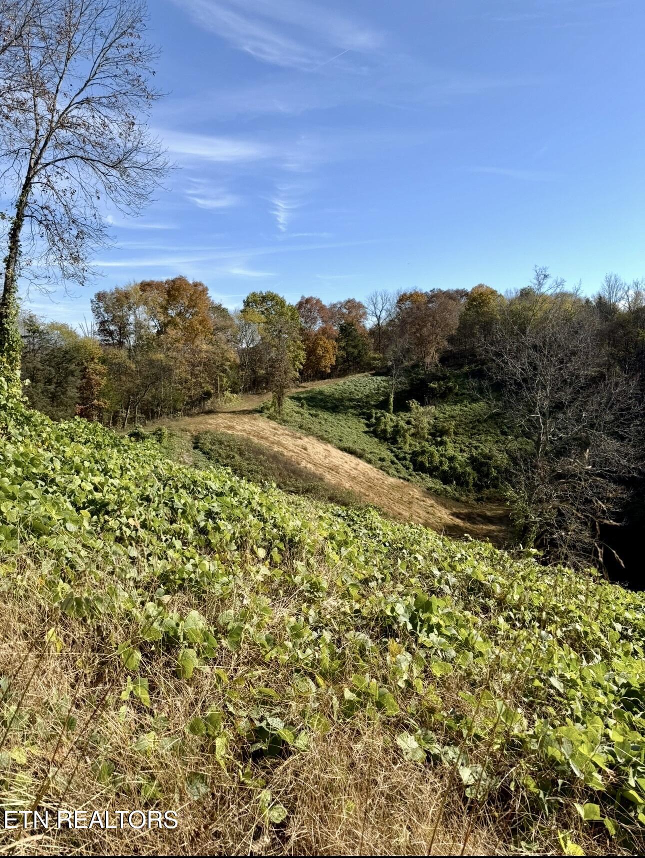 1668 Goodwater Road Bybee, TN 37713 - Photo 27 of 32 IMG_6689