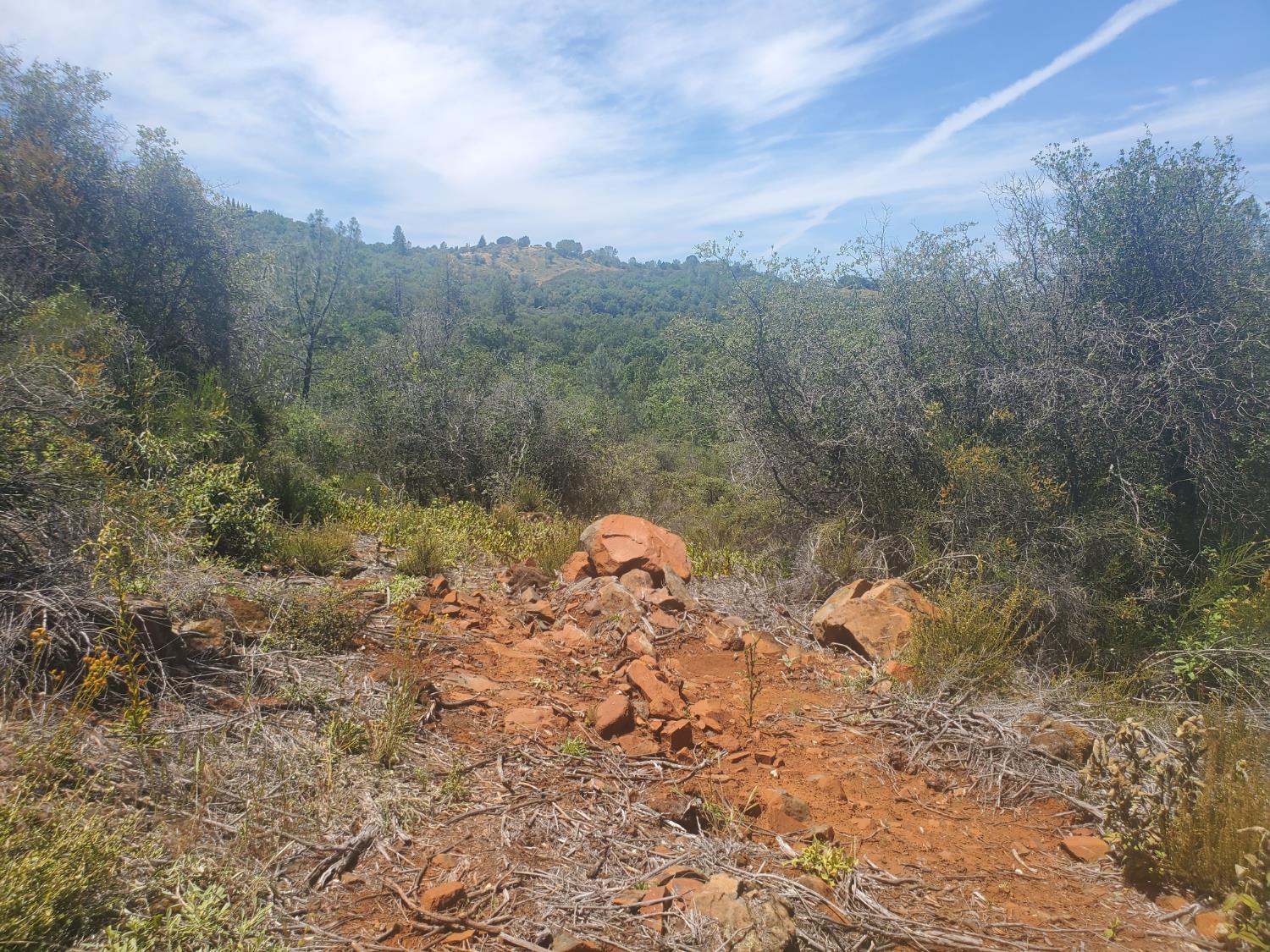 1190 Jurgens Road Rescue, CA 95672 - Photo 16 of 29 a view of a dry yard with trees and bushes