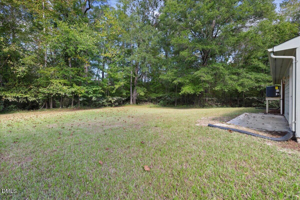 809 Felicia Street Durham, NC 27704 - Photo 29 of 31 a view of backyard with green space