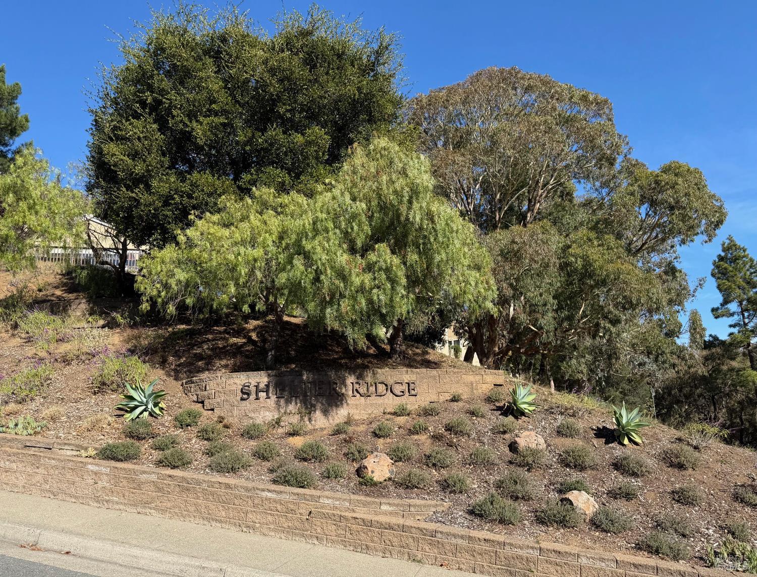 24 Brooke Circle Mill Valley, CA 94941 - Photo 19 of 32