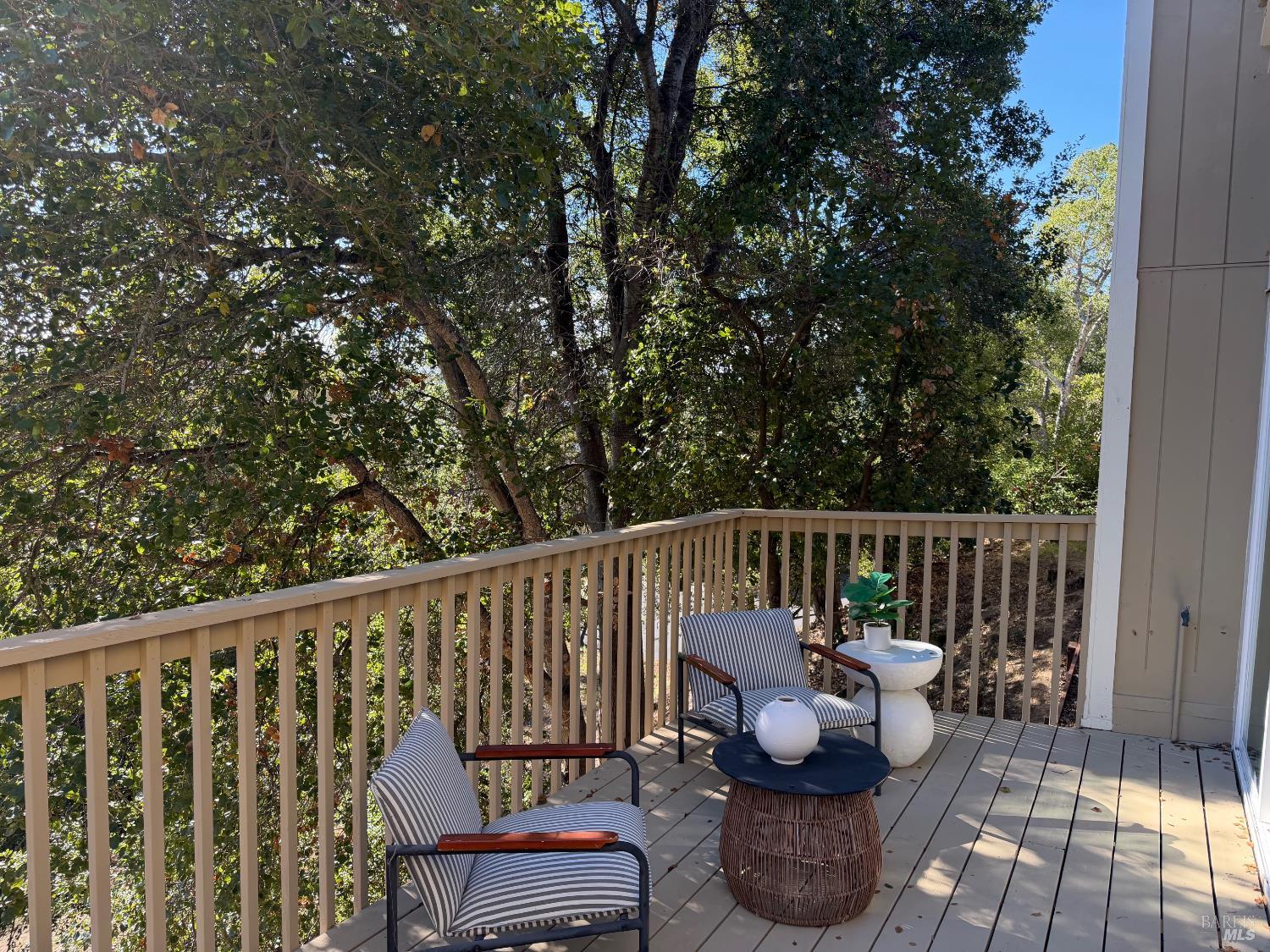 24 Brooke Circle Mill Valley, CA 94941 - Photo 5 of 32