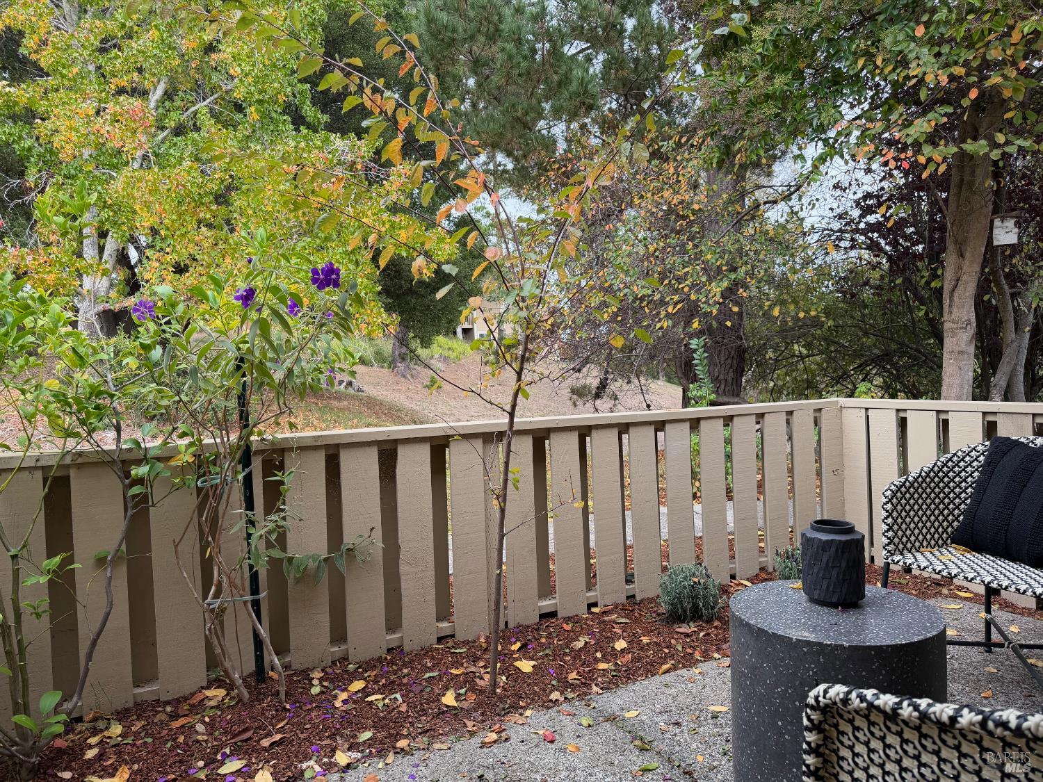 24 Brooke Circle Mill Valley, CA 94941 - Photo 10 of 32