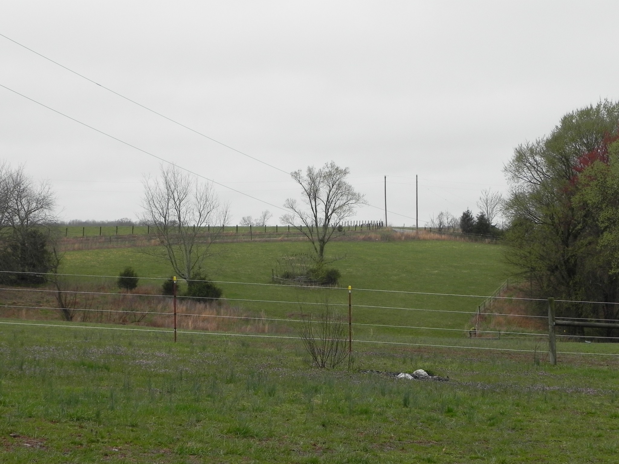 444 Nixon Road Red Boiling Springs, TN 37150 - Photo 38 of 41 a view of a field with wooden fence