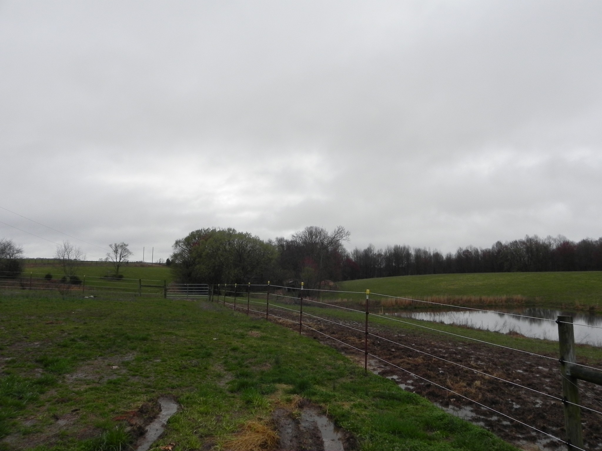 444 Nixon Road Red Boiling Springs, TN 37150 - Photo 39 of 41 a view of a field with sitting space and wooden fence