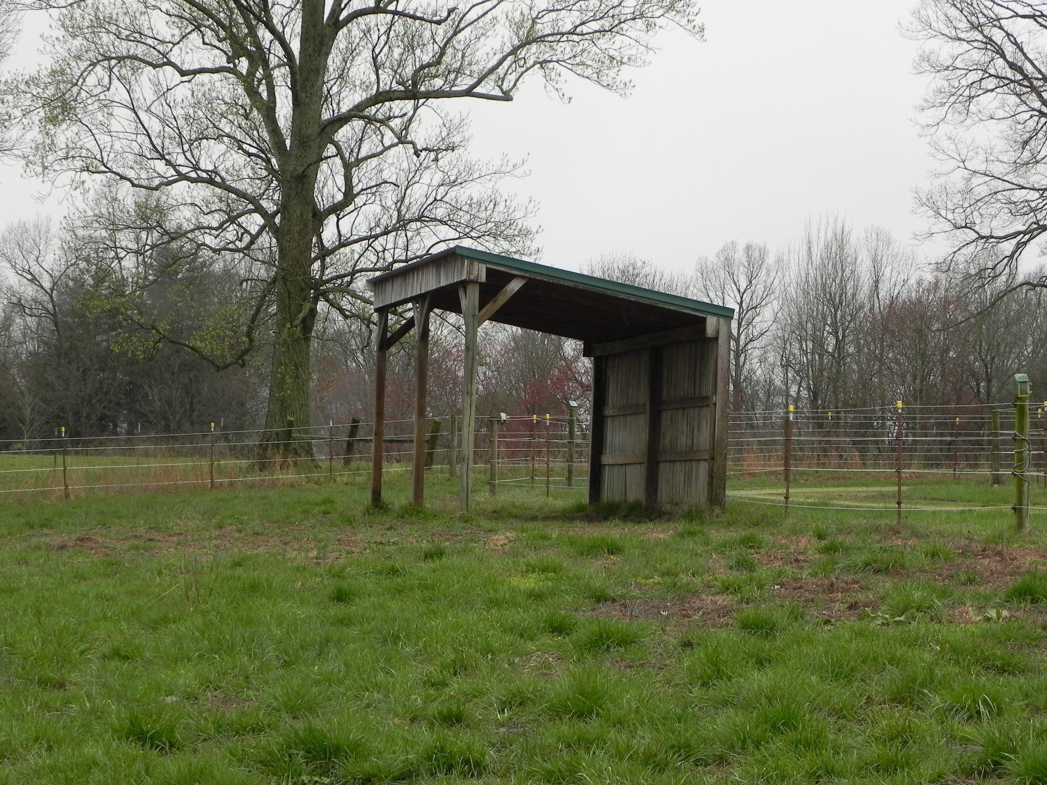 444 Nixon Road Red Boiling Springs, TN 37150 - Photo 40 of 41 a view of outdoor space and yard