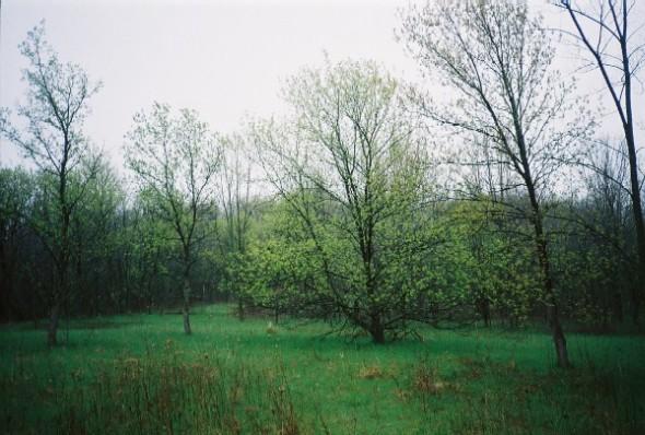 Lot 2 Hall Road, Unit CSM 854 Hartford, WI 53027 - Photo 1 of 1