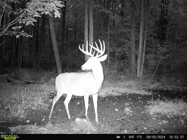 239095 Dawson Road Athens, WI 54411 - Photo 12 of 21