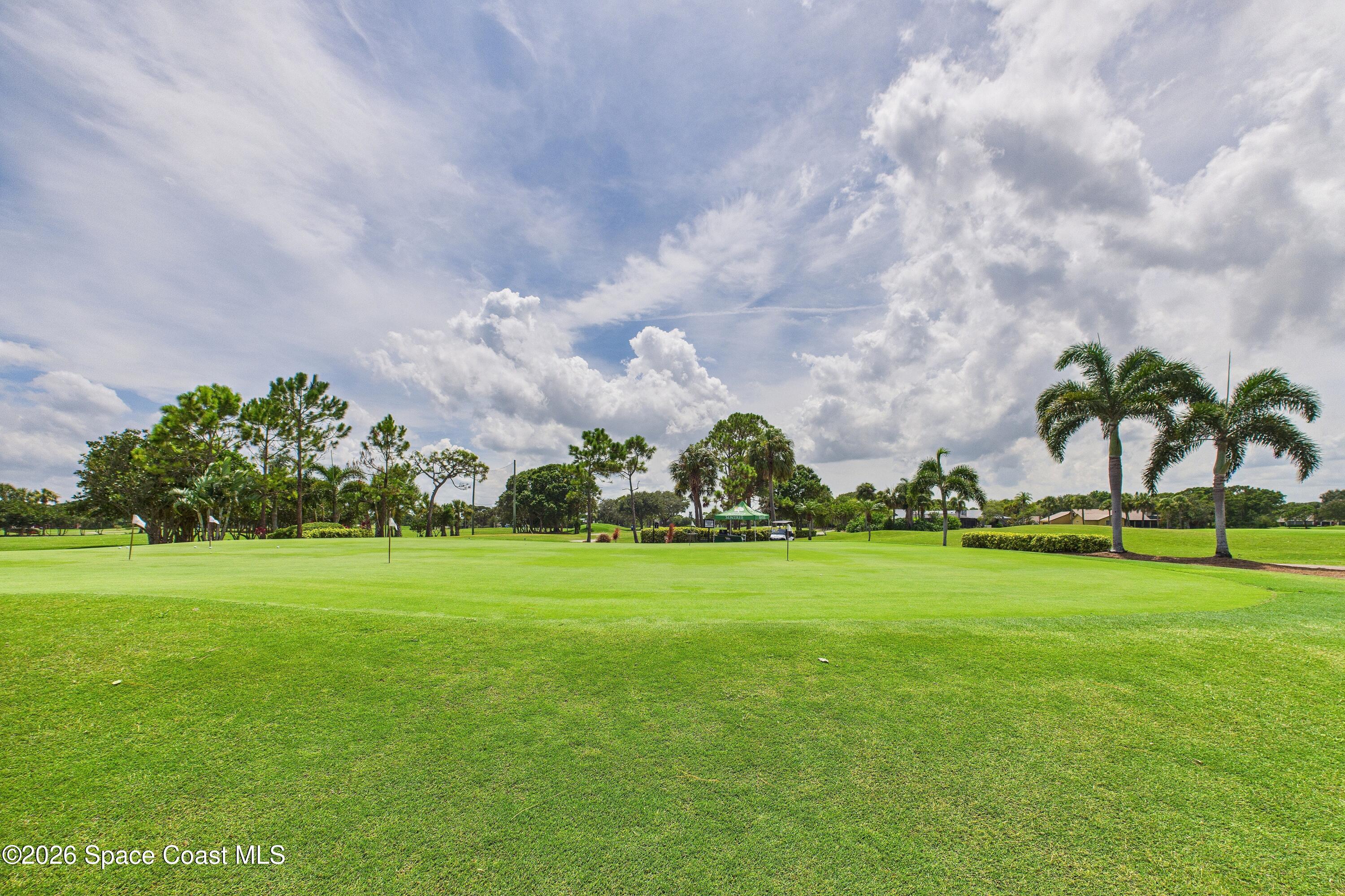 204 Country Club Drive Melbourne, FL 32940 - Photo 27 of 63 a view of a big yard with plants and large trees