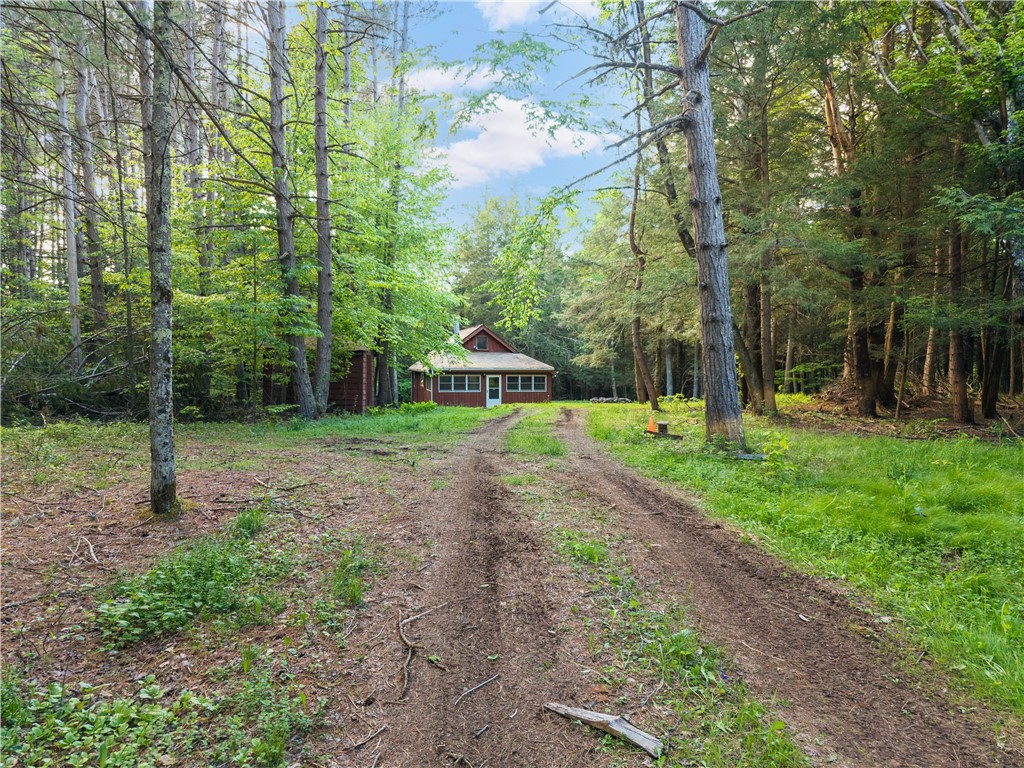 202 Blakesley Road Conesville, NY 12076 - Photo 1 of 46