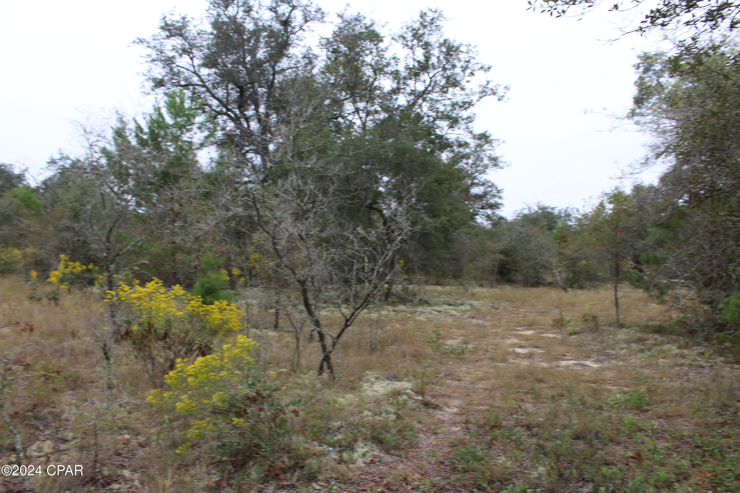 0 South Silver Lake Road Youngstown, FL 32466 - Photo 11 of 16 Gallery Image 11