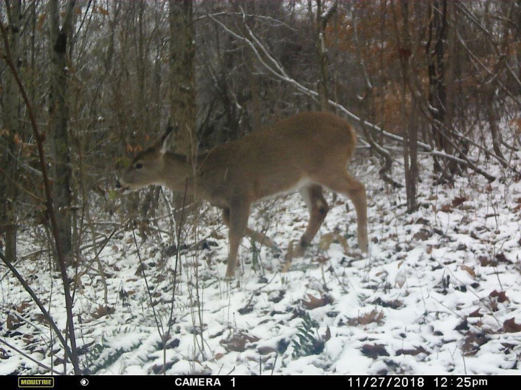 0 West Miller Road Malta, OH 43758 - Photo 5 of 18 Burr Oak 5