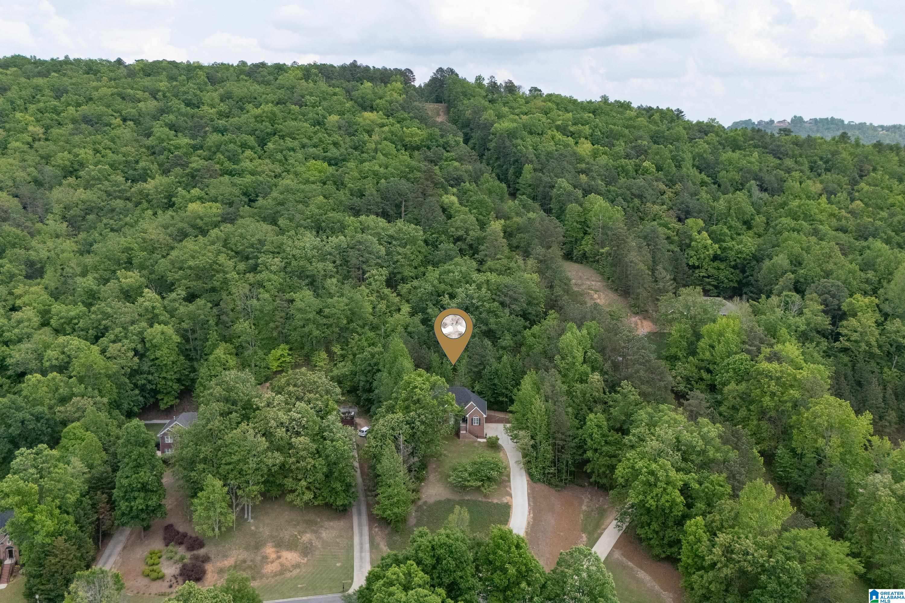 192 Silverleaf Drive Pelham, AL 35124 - Photo 50 of 57