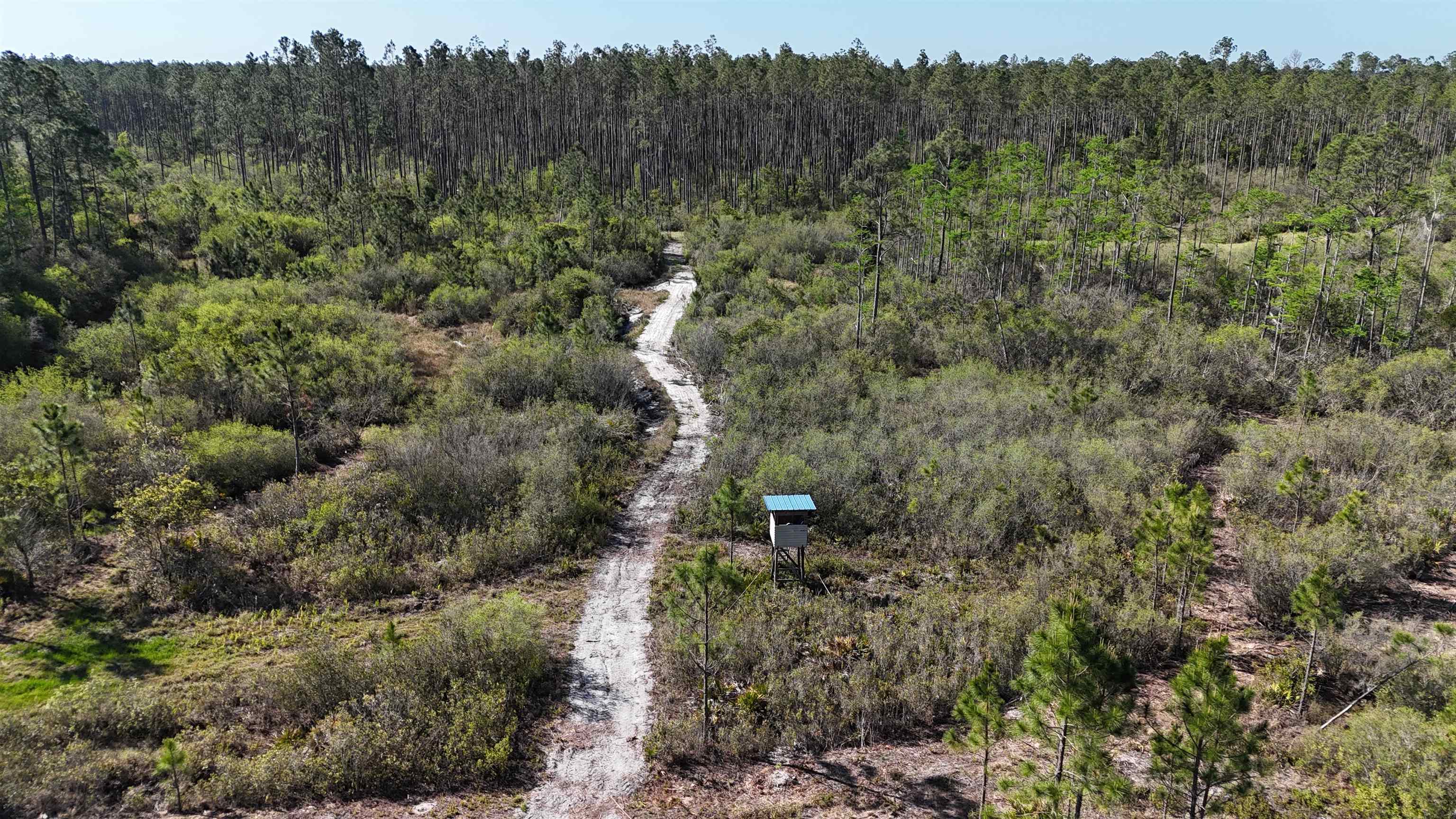 0 Madison Main Line Road Perry, FL 32347 - Photo 11 of 50
