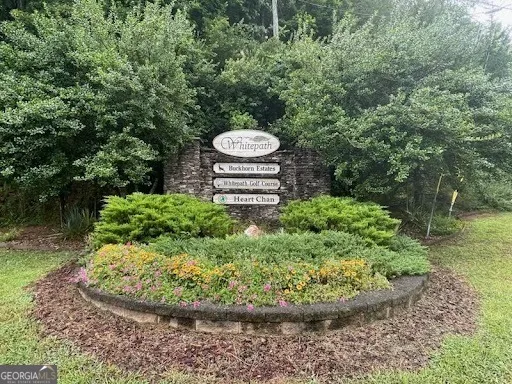 a view of a backyard with plants and a fountain