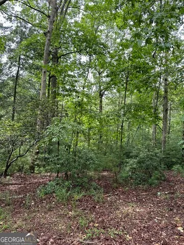 a view of a lush green forest