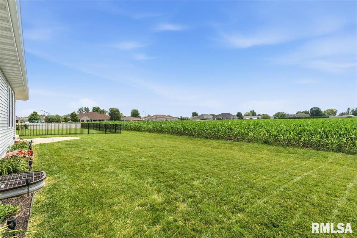 2820 Castlerock Ridge Springfield, IL 62711 - Photo 35 of 43