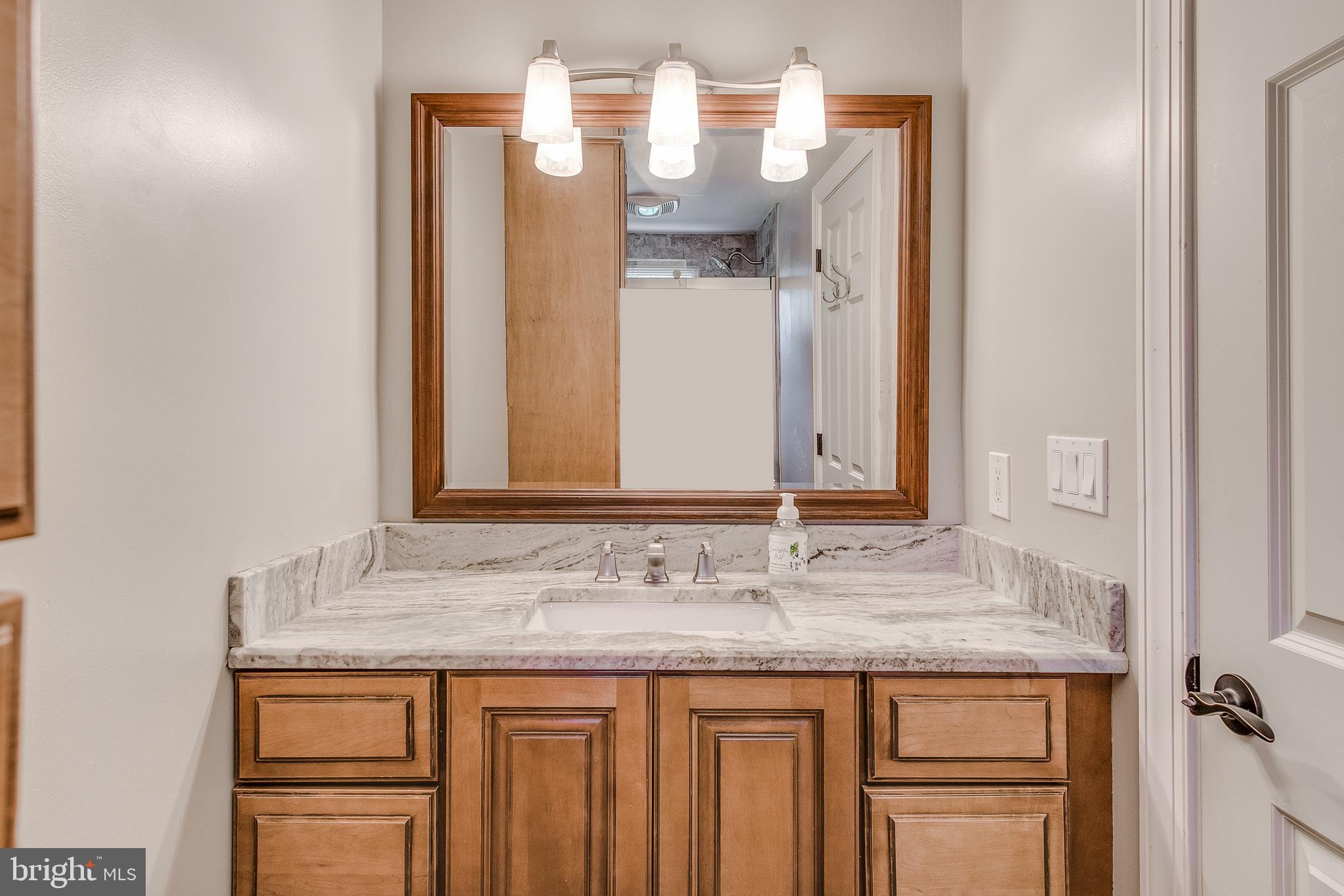 4306 Deer Spring Road Middletown, MD 21769 - Photo 40 of 75 Remodeled Primary bathroom