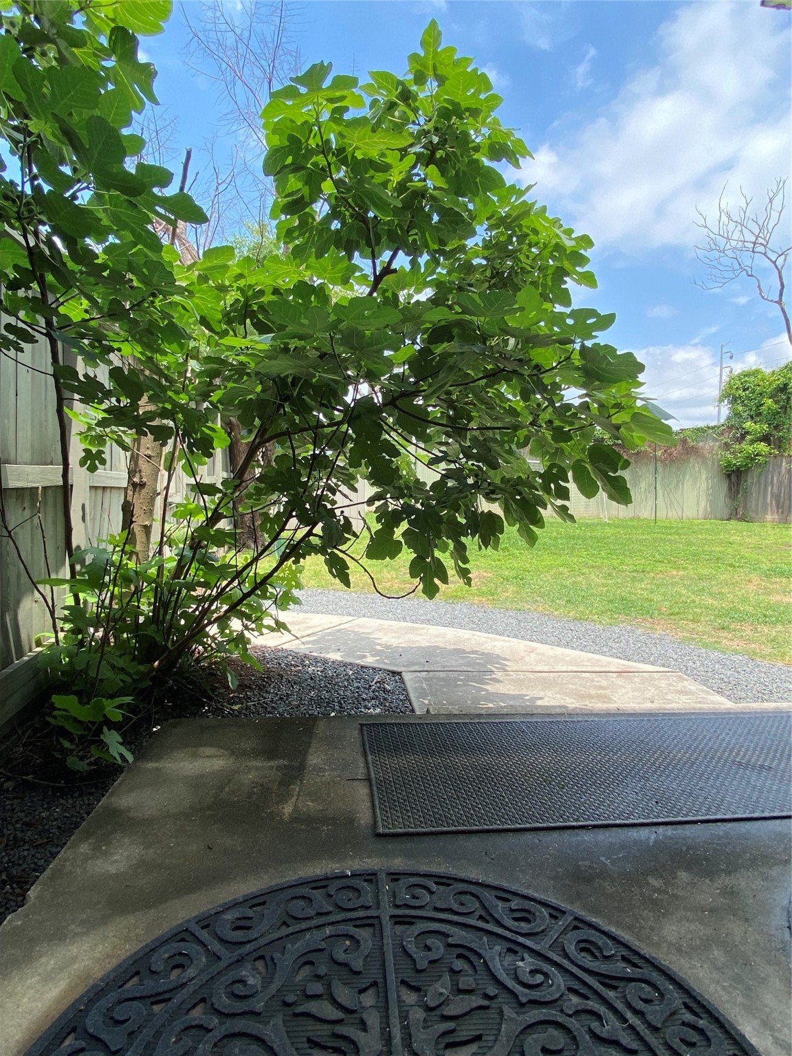 1918 Sul Ross Street, Unit B Houston, TX 77098 - Photo 3 of 17 a view of a yard