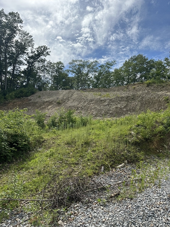 31 Walsh Avenue Auburn, MA 01501 - Photo 11 of 12 a view of outdoor space and yard