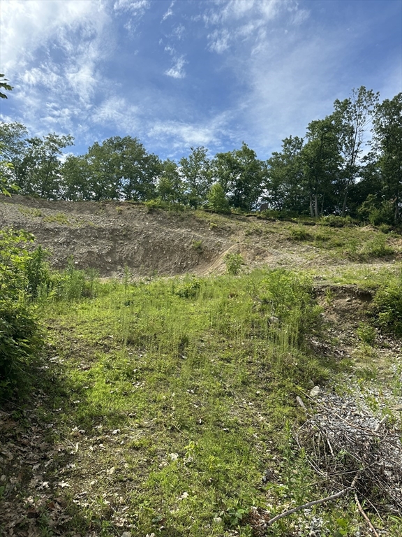 31 Walsh Avenue Auburn, MA 01501 - Photo 2 of 12 a view of a yard with a house