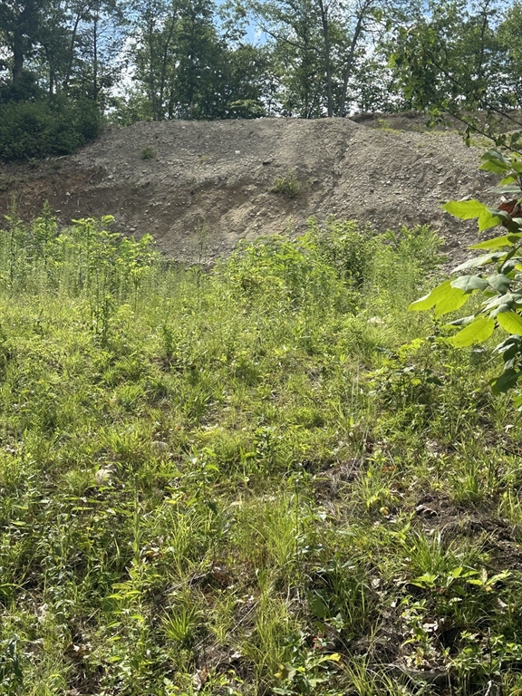 31 Walsh Avenue Auburn, MA 01501 - Photo 5 of 12 a view of yard with green space