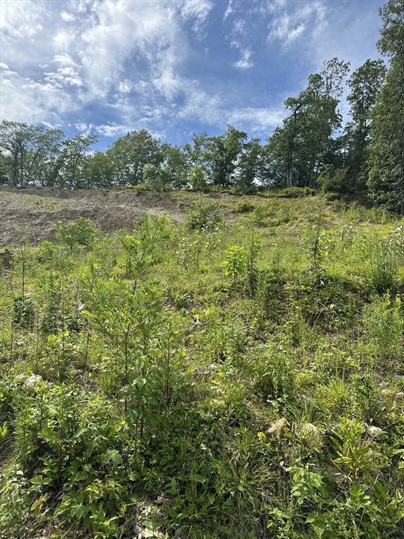 31 Walsh Avenue Auburn, MA 01501 - Photo 8 of 12 a view of a field with an ocean