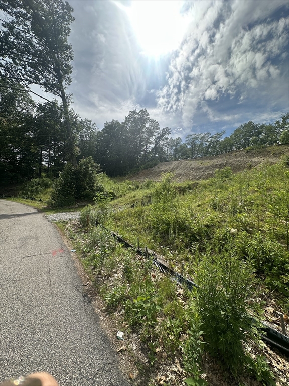 31 Walsh Avenue Auburn, MA 01501 - Photo 9 of 12 a view of a pathway both side of river and trees