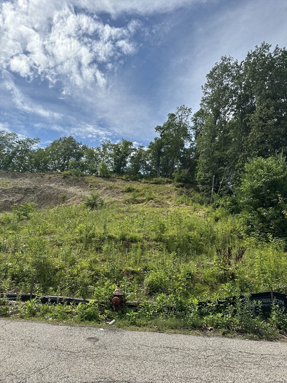 31 Walsh Avenue Auburn, MA 01501 - Photo 10 of 12 a view of a field with an trees