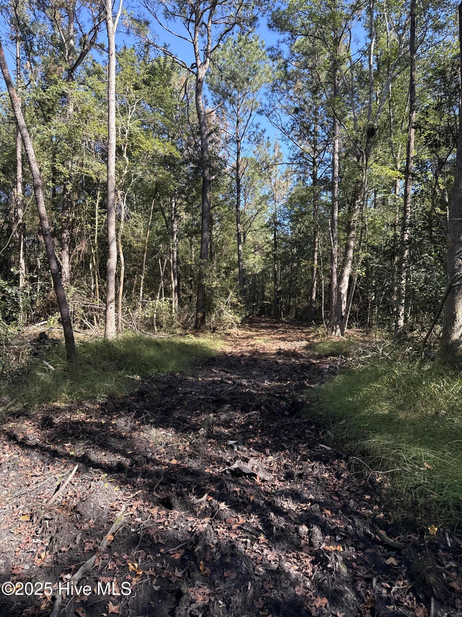 Off Earl Price Road Deep Run, NC 28525 - Photo 10 of 18 DJI_20251003_104529_802