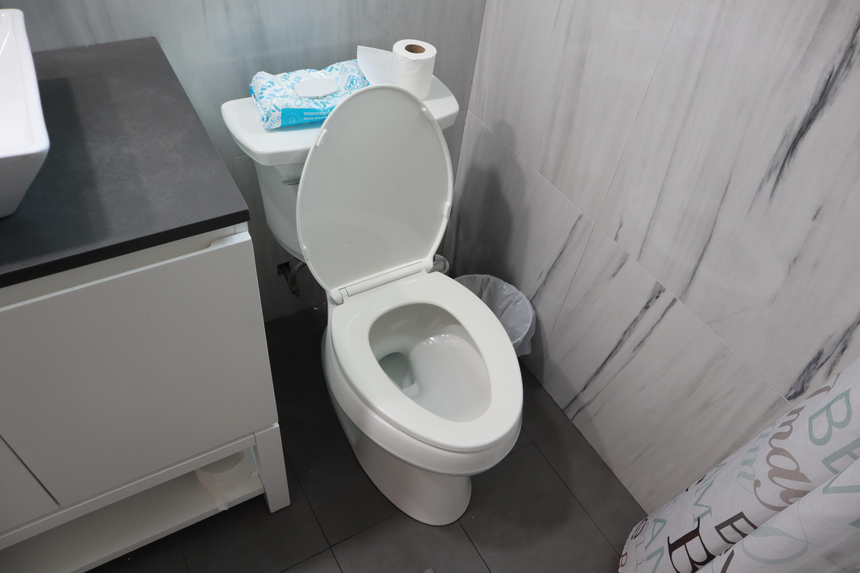 360 Kismet Avenue Pahokee, FL 33476 - Photo 31 of 100 a close view of a toilet in a bathroom