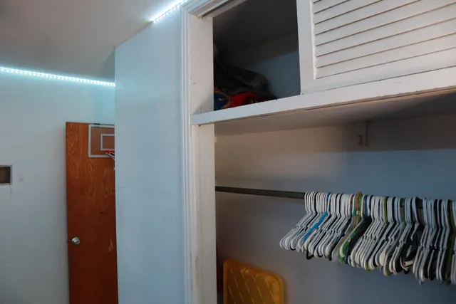 a view of a palm tree next to a yard