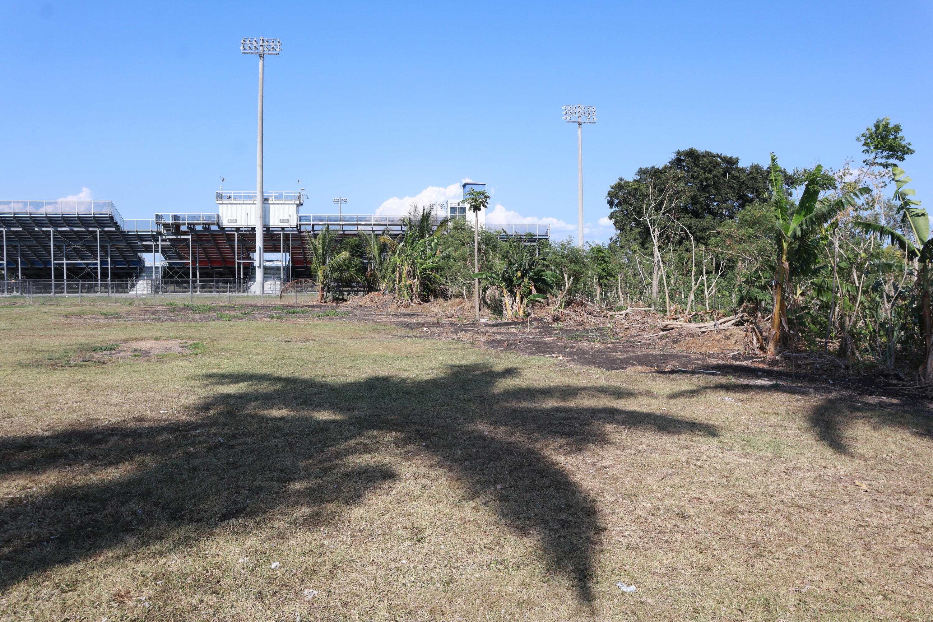 360 Kismet Avenue Pahokee, FL 33476 - Photo 95 of 100 a view of a palm tree next to a yard