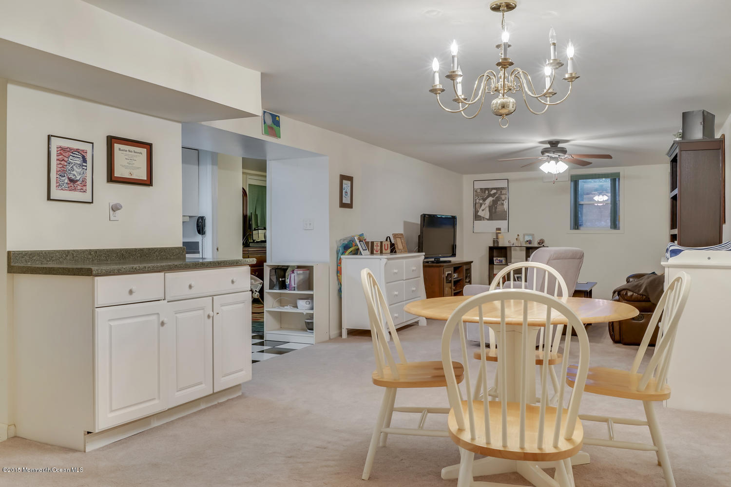 10 Ivy Hill Road Red Bank, NJ 07701 - Photo 25 of 39 Coming Soon-large-050-60-Lower Level Mo