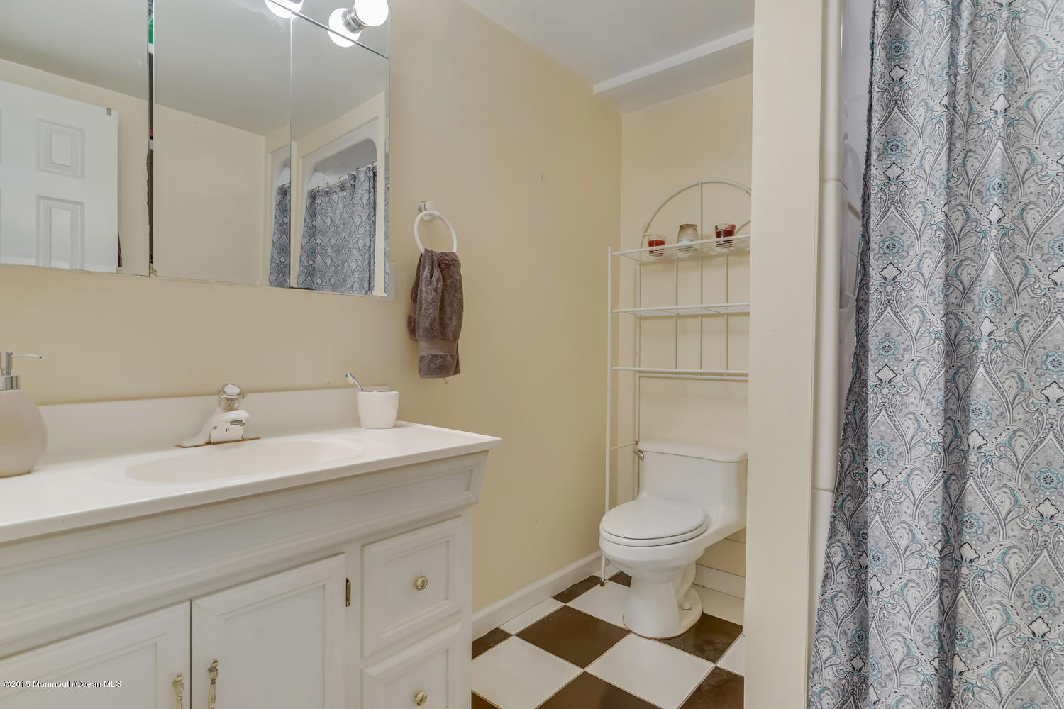 10 Ivy Hill Road Red Bank, NJ 07701 - Photo 30 of 39 Coming Soon-large-058-63-Lower Level Mo