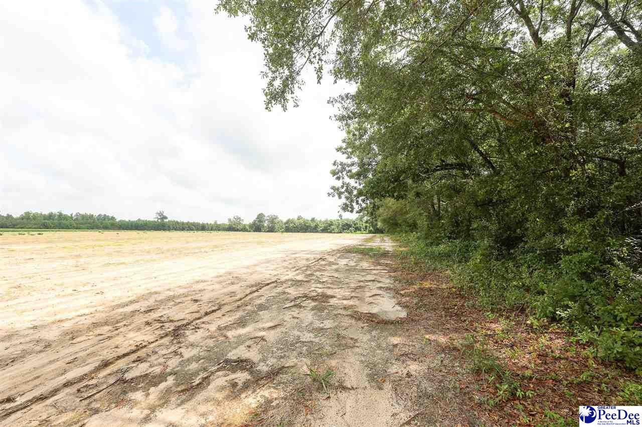 26-acres Una Road Lamar, SC 29069 - Photo 4 of 14 Gallery Image 4