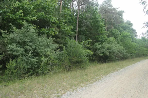 $50,000 | Merrill Drive, Vestaburg, MI 48891