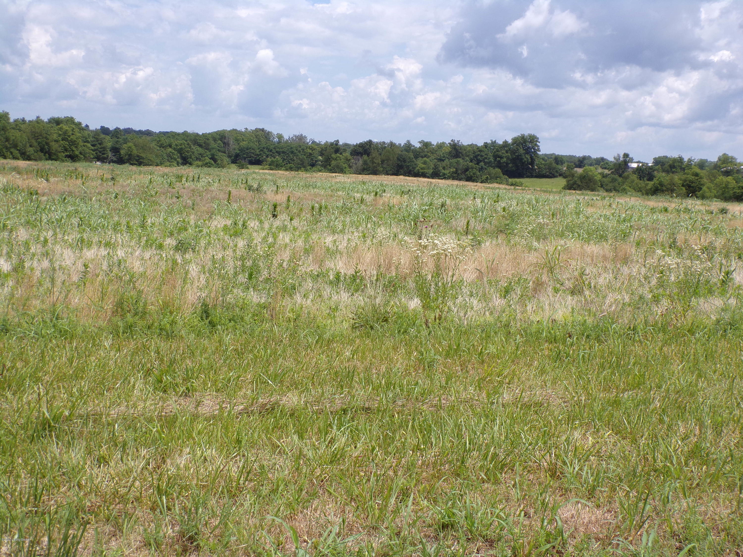 Lot 6 Sulpher Road Sulphur, KY 40070 - Photo 11 of 16 101_0312