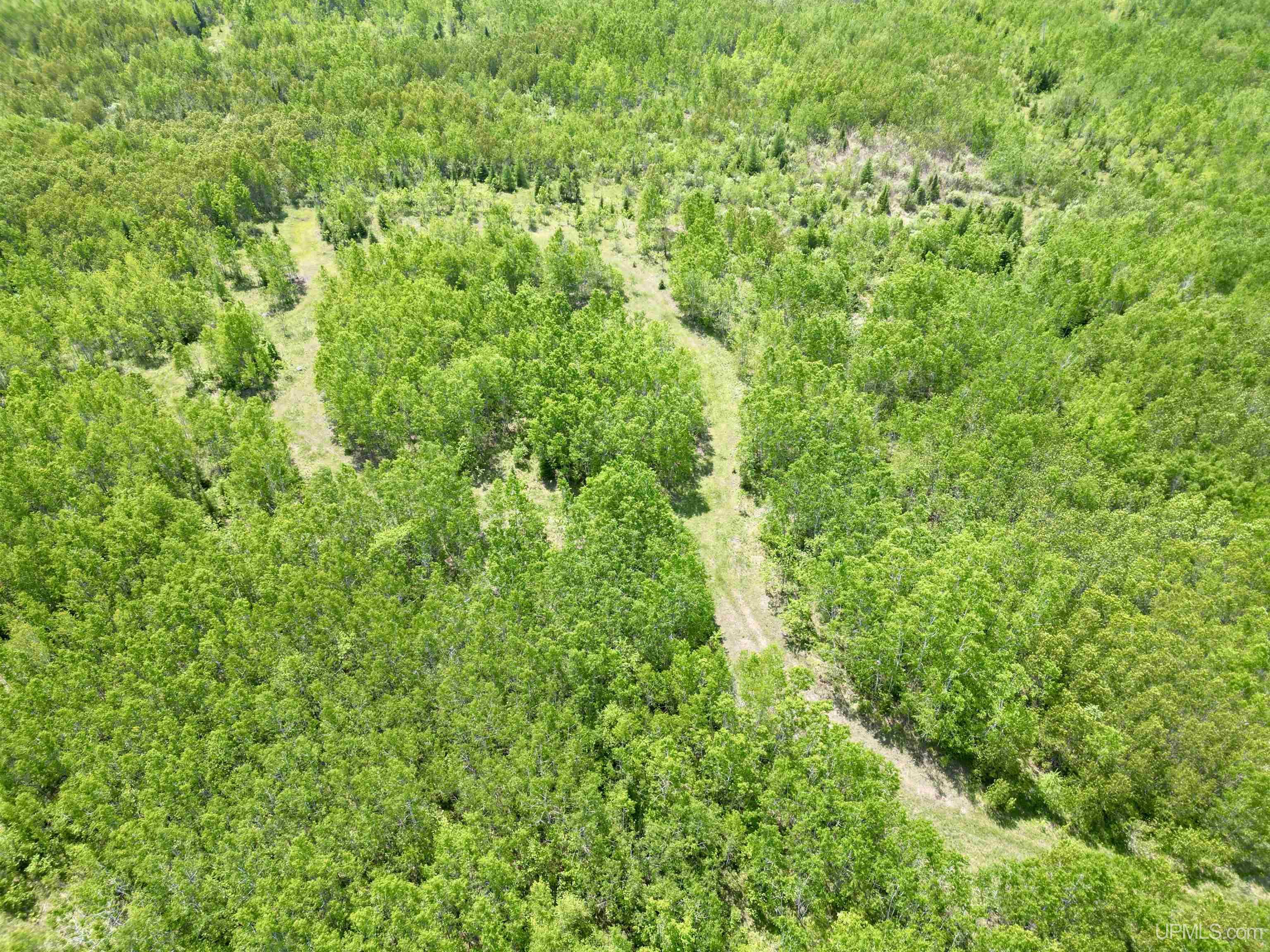 400 Rd Perronville Mi 49807 Road Bark River, MI 49807 - Photo 1 of 30