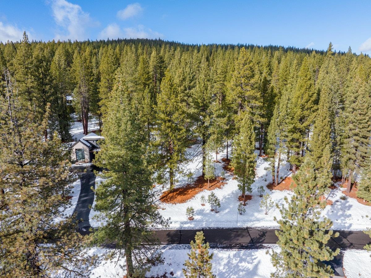 12528 Granite Drive Truckee, CA 96161 - Photo 5 of 9