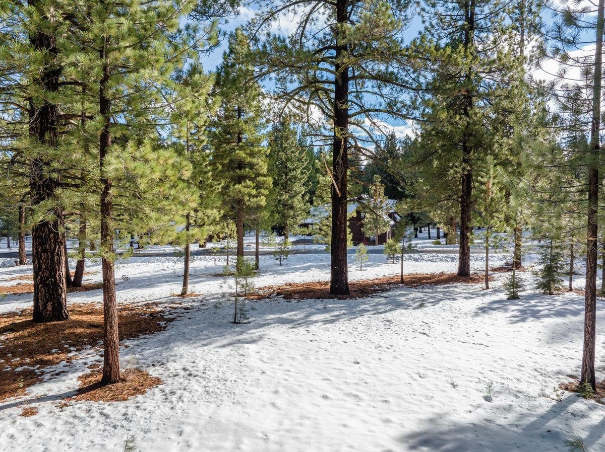 12528 Granite Drive Truckee, CA 96161 - Photo 9 of 9