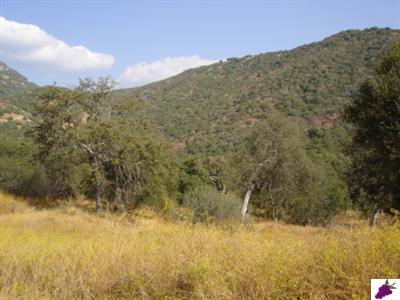 40160 Millwood Road Dunlap, CA 93621 - Photo 2 of 6 Gallery Image 2
