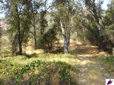 40160 Millwood Road Dunlap, CA 93621 - Photo 5 of 6 Gallery Image 5