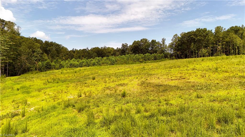 0 Inman Road Pilot Mountain, NC 27041 - Photo 15 of 16 Gallery Image 15