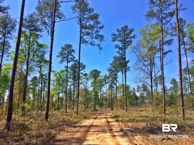 0 South Grand Bay Wilmer Road Wilmer, AL 36587 - Photo 12 of 18