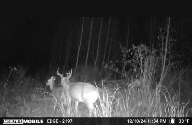 58-acres Northeast County Line Road Coleman, MI 48618 - Photo 44 of 45