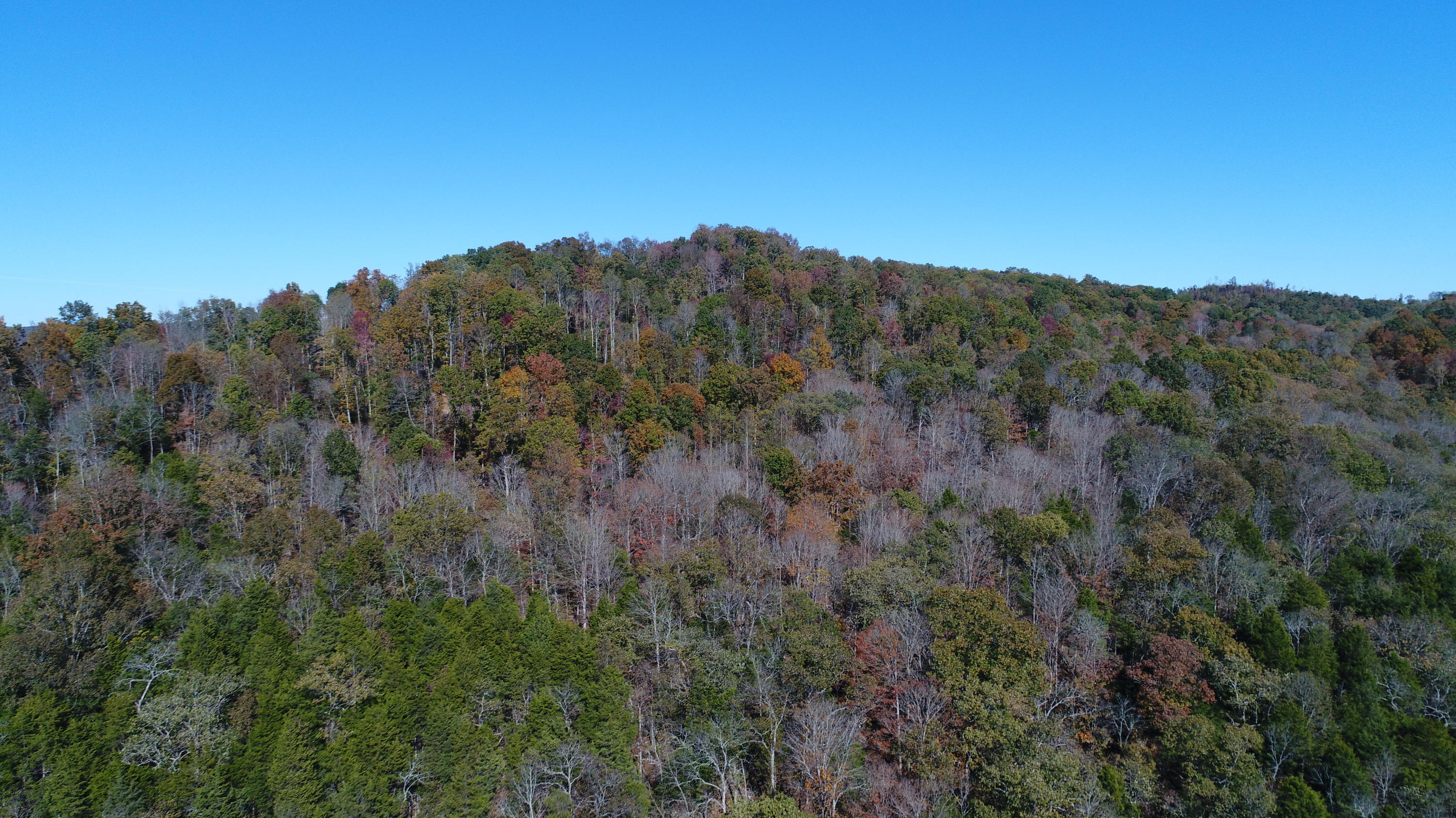 501 Big Sink Road Somerset, KY 42503 - Photo 29 of 38 DJI_0952
